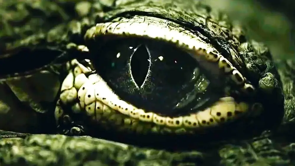 Assistir Operação Matador em HD