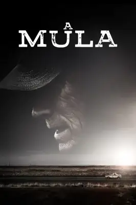 Assistir A Mula em HD