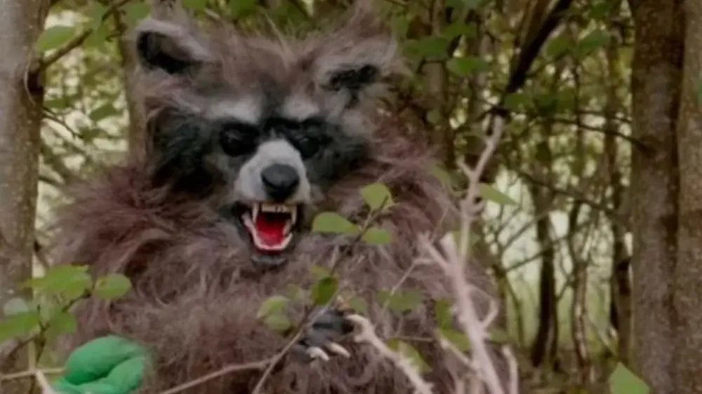 Assistir Crackcoon em HD