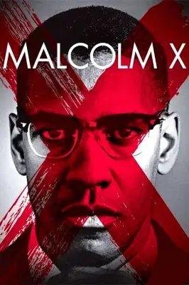 Malcolm X watch online