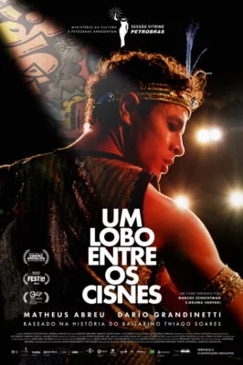 Assistir Um Lobo Entre Os Cisnes em HD
